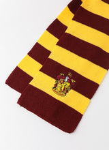 Load image into Gallery viewer, I am a wizard costume cloak (Released on 10/13)