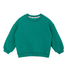 Load image into Gallery viewer, kids green fleece sweatshirt

