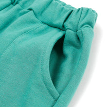将图片加载到图库查看器,boys mint colored pants