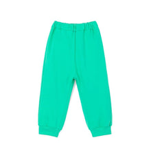 将图片加载到图库查看器,boys mint colored pants