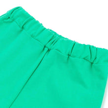 将图片加载到图库查看器,boys mint colored pants