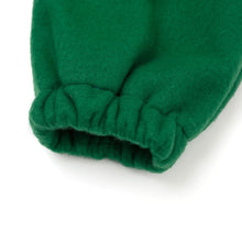将图片加载到图库查看器,green dinosaur halloween costume