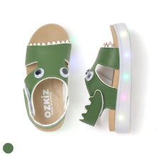 Load image into Gallery viewer, &#39;Cro Cro&#39; LED Sandals
