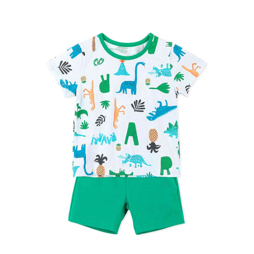 boys dinosaur pattern outfit set